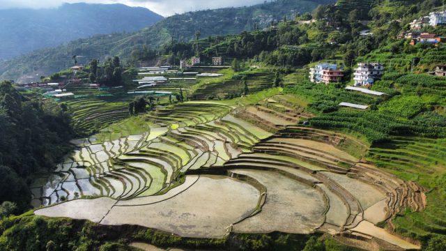 Terraced rice fields in the hills of Nepal