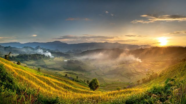 Agricultural field at golden hour, Nepal Terai