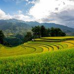 How to Verify a Plot in Nepal Before Paying a Single Rupee